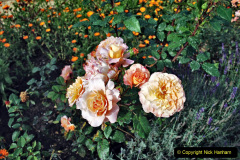 066.2023-09-07-Careys-Secret-Garden-Wareham-Dorset.-66-