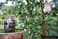 074.2023-09-07-Careys-Secret-Garden-Wareham-Dorset.-74-