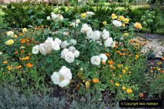 076.2023-09-07-Careys-Secret-Garden-Wareham-Dorset.-76-