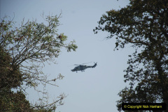 155.2023-09-07-Careys-Secret-Garden-Wareham-Dorset.-155-