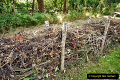 160.2023-09-07-Careys-Secret-Garden-Wareham-Dorset.-160-