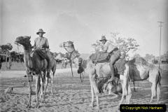 015.2023-09-09-UAE-Camels.-15-