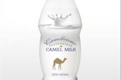 020.2023-09-09-UAE-Camels.-20-