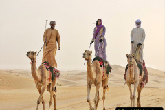 029.2023-09-09-UAE-Camels.-29-