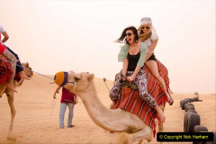 034.2023-09-09-UAE-Camels.-34-