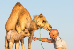 Cover photo of The Desert Vet book featuring Dr Alex Tinson.