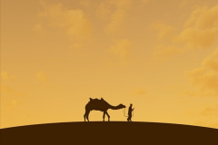 057.2023-09-09-UAE-Camels.-57-