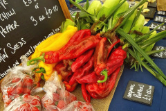 044.2023-09-10-Sturminster-Newton-Cheese-Festival-and-the-town.-44-