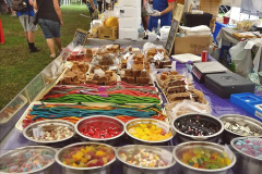 071.2023-09-10-Sturminster-Newton-Cheese-Festival-and-the-town.-71-