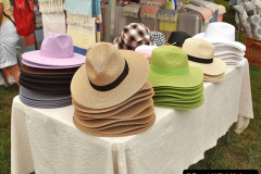 137.2023-09-10-Sturminster-Newton-Cheese-Festival-and-the-town.-137-