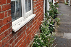 232.2023-09-10-Sturminster-Newton-Cheese-Festival-and-the-town.-232-