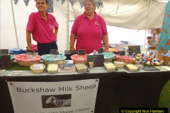 274.2023-09-10-Sturminster-Newton-Cheese-Festival-and-the-town.-274-