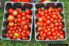 385.2023-09-10-Sturminster-Newton-Cheese-Festival-and-the-town.-385-