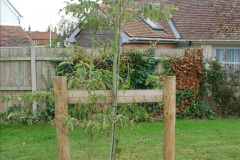 453.2023-09-10-Sturminster-Newton-Cheese-Festival-and-the-town.-453-