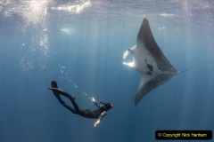 031.2023-09-17-International-Manta-Ray-Day.-31