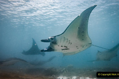 047.2023-09-17-International-Manta-Ray-Day.-47