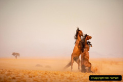 017.2023-09-20-Namibia.-17