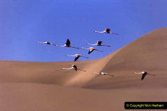 025.2023-09-20-Namibia.-25