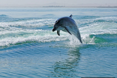 030.2023-09-20-Namibia.-30