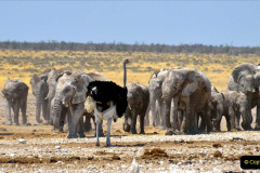 033.2023-09-20-Namibia.-33