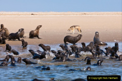 034.2023-09-20-Namibia.-34