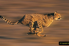 062.2023-09-20-Namibia.-62