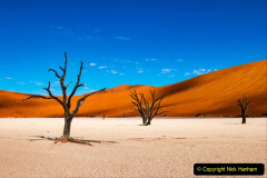 Deadvlei is a white clay pan located near the more famous salt pan of Sossusvlei, inside the Namib-Naukluft Park in Namibia.