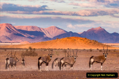 085.2023-09-20-Namibia.-85