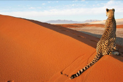 088.2023-09-20-Namibia.-88