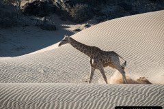 093.2023-09-20-Namibia.-93