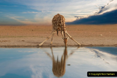 098.2023-09-20-Namibia.-98
