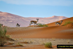 106.2023-09-20-Namibia.-106