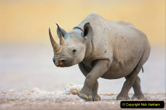 109.2023-09-20-Namibia.-109