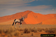 110.2023-09-20-Namibia.-110