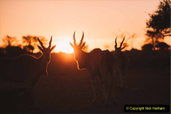 124.2023-09-20-Namibia.-124