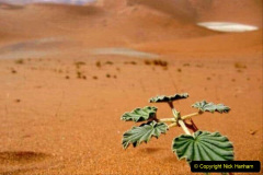 128.2023-09-20-Namibia.-128