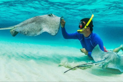 072.2023-09-20-Grand-Cayman-Islands.-72-