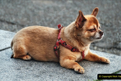 100-2023-09-26-Last-Poole-Quay-Bikers-Night-of-2023.-100-