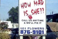 047.2023-01-19-Funny-World-Signs.-47-