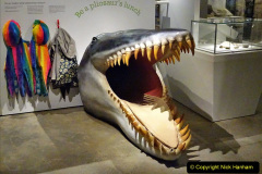 012.2024-04-08-Dorchester-Museum-Dorchester-Dorset.-12-