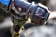 018.2024-04-12-Spring-on-the-SR.-18-