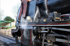 029.2024-04-12-Spring-on-the-SR.-29-