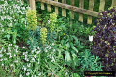 008.A-garden-in-a-Buckinghamshire-House.-8-