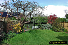 027.A-garden-in-a-Buckinghamshire-House.-27-
