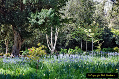 010.2024-04-17-Cliveden-NT-Buckinghamshire.-10-