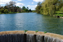 007.2024-04-18-The-Vyne-NT-Hampshire.-7-