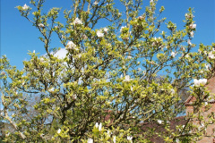 057.2024-04-18-The-Vyne-NT-Hampshire.-57-