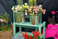 079.2024-04-27-Dorset-Spring-Show-Kingston-Marwood-Dorchester-FDorset.-79