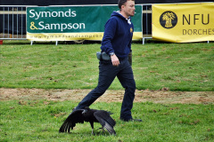 159.2024-04-27-Dorset-Spring-Show-Kingston-Marwood-Dorchester-FDorset.-159