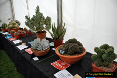 286.2024-04-27-Dorset-Spring-Show-Kingston-Marwood-Dorchester-FDorset.-286